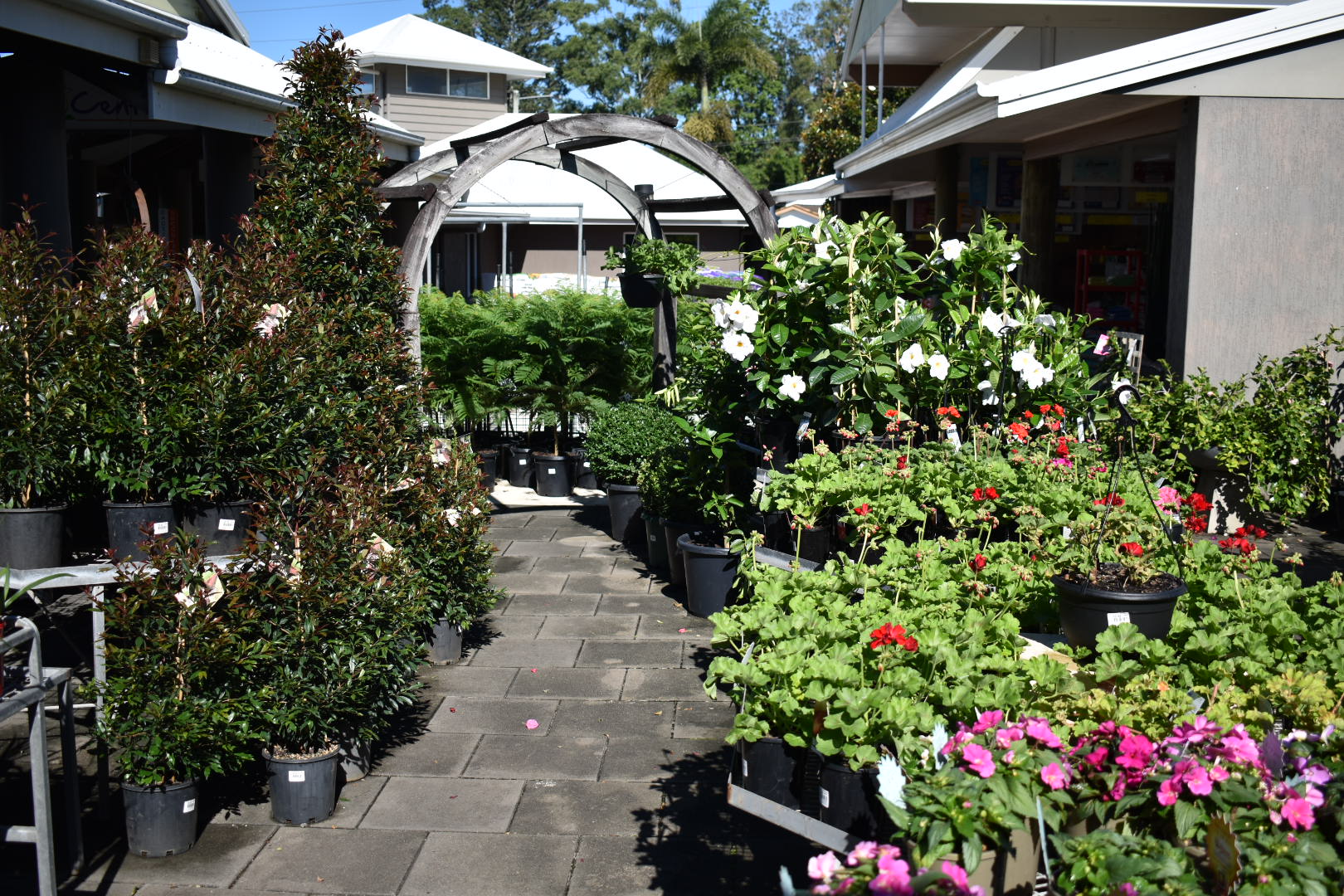 Manawee Garden Centre Where Plants Are Pleasure Sunshine Coast